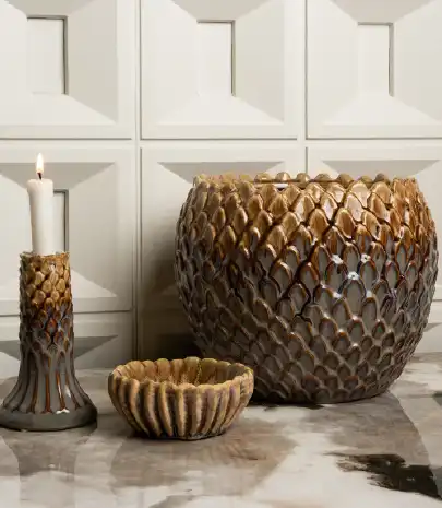 Palms Collection